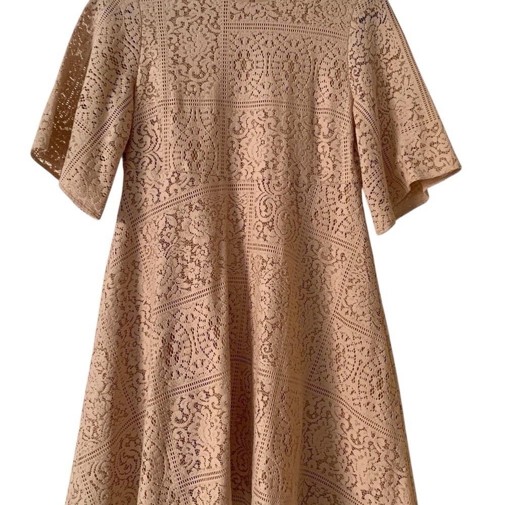 Zara Basic Collection Lace A-Line Dress Blush Nude Size XS - Picture 8 of 8
